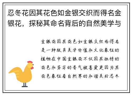 忍冬花因其花色如金银交织而得名金银花，探秘其命名背后的自然美学与文化寓意